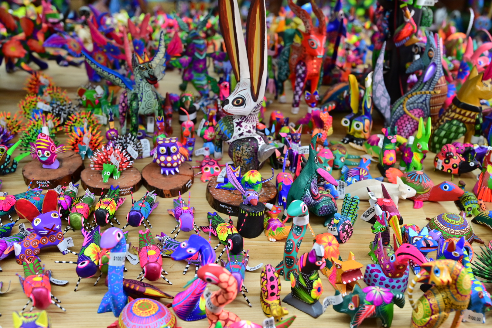 20251222 Oaxaca Walking