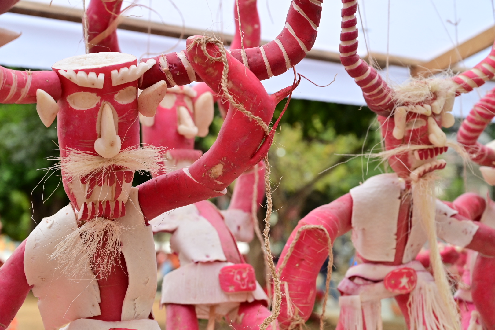 20251223 Monte Alban, Noche de Rabanos