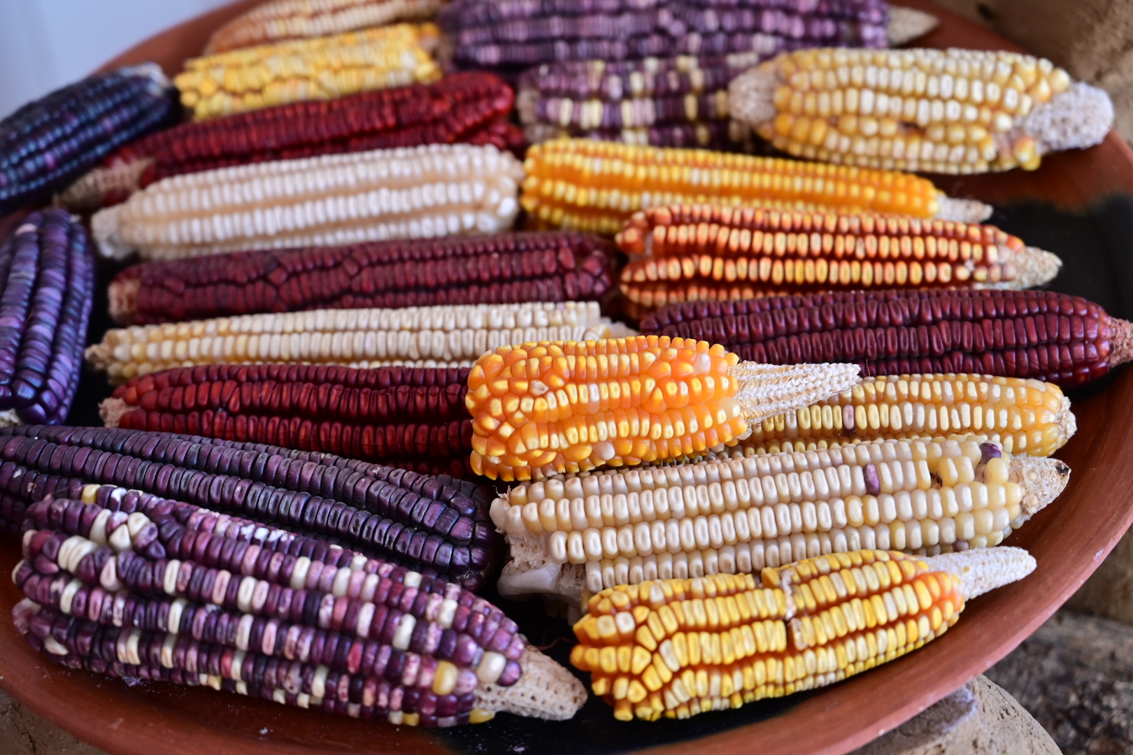 20251226 Central Market, Levadura de Olla