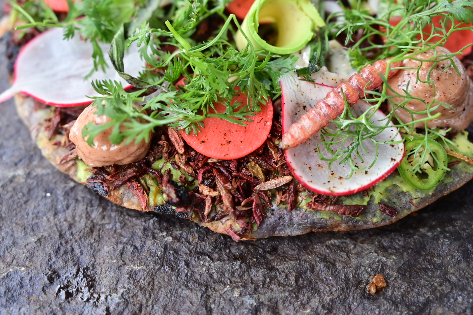 20251230 Casa Oaxaca, Atoles